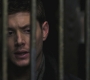 SPN_0831.jpg