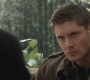 SPN_0084.jpg