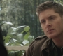 SPN_0097.jpg