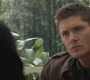 SPN_0100.jpg