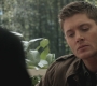 SPN_0109.jpg