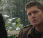 SPN_0118.jpg