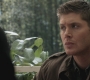 SPN_0119.jpg