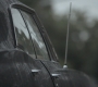 SPN_0236.jpg