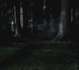 SPN_0654.jpg