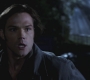 SPN_0668.jpg