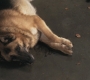 SPN_1102.jpg