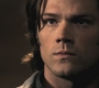 SPN_1126.jpg