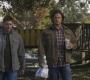 SPN_1160.jpg