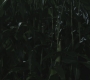 Filename=SPN_0014.jpg
Filesize=57KiB
Dimensions=1280x720
Date added=Sep 30, 2021 SPN_0014.jpg