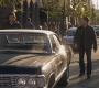 SPN_0132.jpg