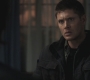 Filename=SPN_0441.jpg
Filesize=45KiB
Dimensions=1280x720
Date added=Sep 30, 2021 SPN_0441.jpg