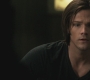 Filename=SPN_0495.jpg
Filesize=70KiB
Dimensions=1280x720
Date added=Sep 30, 2021 SPN_0495.jpg