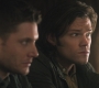 Filename=SPN_0756.jpg
Filesize=86KiB
Dimensions=1280x720
Date added=Sep 30, 2021 SPN_0756.jpg