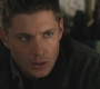 Filename=SPN_0760.jpg
Filesize=84KiB
Dimensions=1280x720
Date added=Sep 30, 2021 SPN_0760.jpg