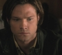 Filename=SPN_0762.jpg
Filesize=65KiB
Dimensions=1280x720
Date added=Sep 30, 2021 SPN_0762.jpg