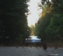 Filename=SPN_0838.jpg
Filesize=107KiB
Dimensions=1280x720
Date added=Sep 30, 2021 SPN_0838.jpg