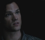 SPN_0299.jpg