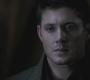 SPN_0304.jpg
