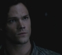 SPN_0307.jpg