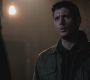 Filename=SPN_0346.jpg
Filesize=44KiB
Dimensions=1280x720
Date added=Sep 30, 2021 SPN_0346.jpg