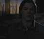 Filename=SPN_0359.jpg
Filesize=42KiB
Dimensions=1280x720
Date added=Sep 30, 2021 SPN_0359.jpg