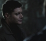SPN_0619.jpg