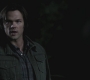 SPN_0659.jpg