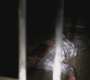 SPN_0760.jpg