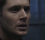 SPN_0800.jpg