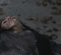 SPN_0951.jpg