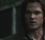 SPN_1206.jpg