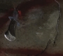 SPN_1241.jpg