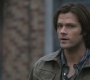 Filename=SPN_1394.jpg
Filesize=58KiB
Dimensions=1280x720
Date added=Sep 30, 2021 SPN_1394.jpg