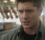 SPN_0145.jpg