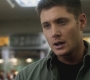 SPN_0196.jpg