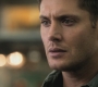 SPN_0207.jpg