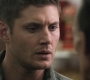 SPN_0252.jpg