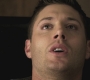 SPN_0312.jpg