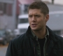 SPN_0425.jpg