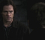 SPN_0480.jpg