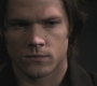 SPN_0542.jpg