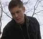 SPN_0643.jpg