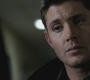 SPN_0772.jpg