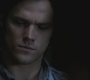 SPN_0784.jpg