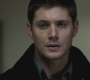 SPN_0810.jpg