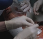 SPN_0954.jpg