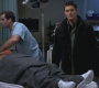 SPN_0976.jpg