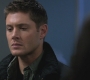 SPN_0983.jpg