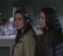 SPN_1012.jpg